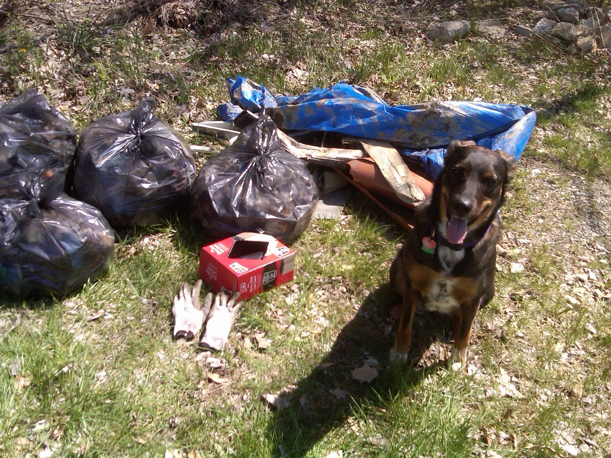 Reese Helping Clean the Trail